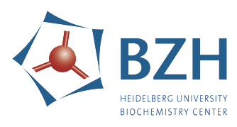 LOGO Biochemizentrum Heidelberg